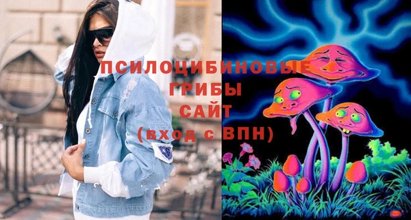 гашик Алзамай