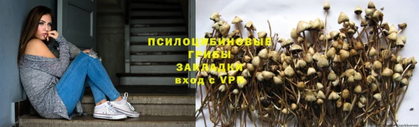 гашик Алзамай